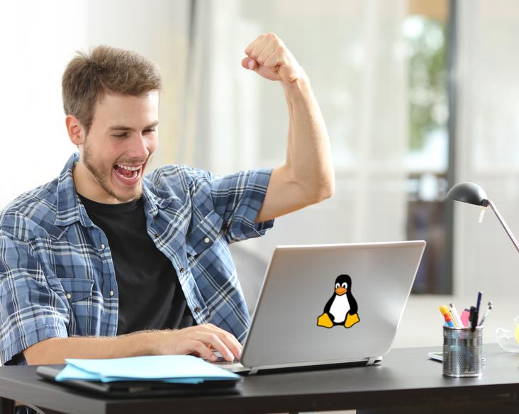 Уверенный рост Linux