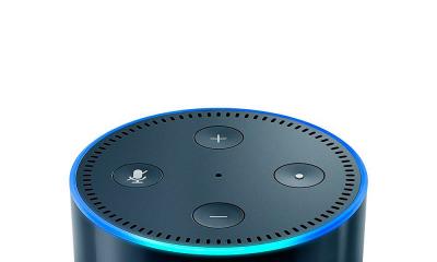 Голосовой помощник Alexa научится различать голоса людей На что способна Amazon Alexa